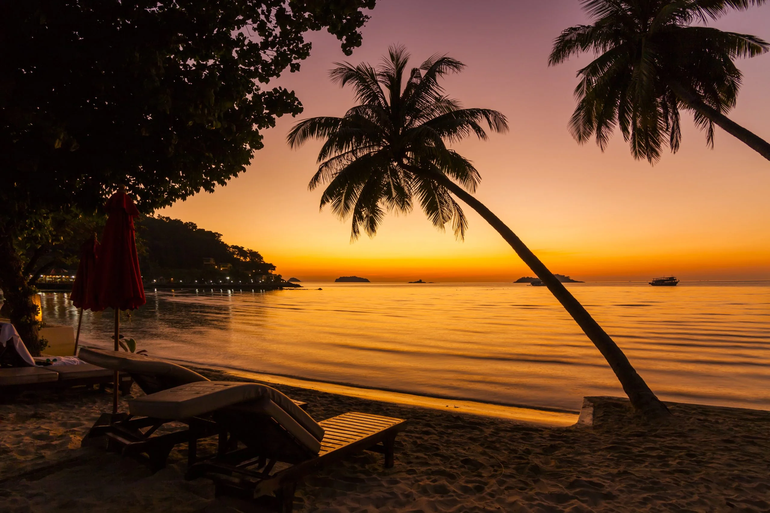 Palm trees silhouetted against a golden sunset over a calm tropical bay